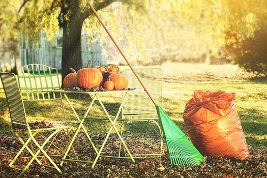 Beautiful autumn day for racking leaves and preparing for Halloween