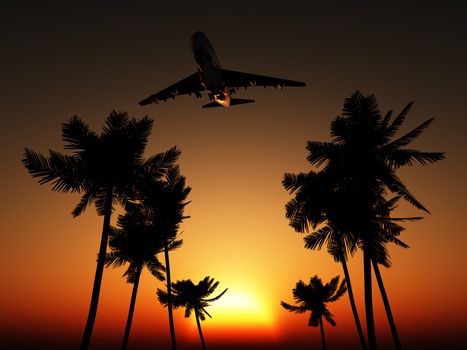 Plane flying over some palm trees with a sunset sky.
