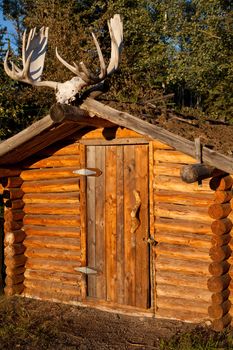 Small log cabin with earth roof and moose skull with antler.