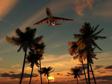Plane flying over some palm trees with a sunset sky.
