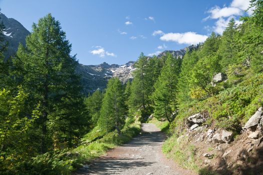 beautiful path in Italian Alps in Arpy valley