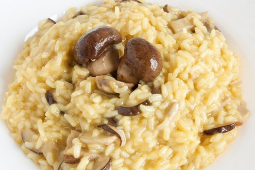 detail plate of risotto with mushrooms dish