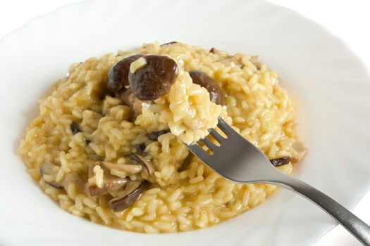 plate withf risotto with mushrooms isolated on white background with clipping path
