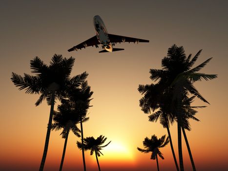 Plane flying over some palm trees with a sunset sky.
