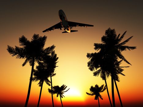 Plane flying over some palm trees with a sunset sky.
