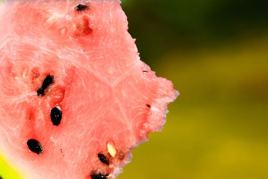 slice of red juicy watermelon. 