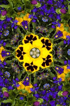 Kaleidoscopic altered image of garden flowers (pansies, lobelias) resembling a mandala