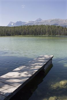 Athabasca River in Jasper National Park Canada