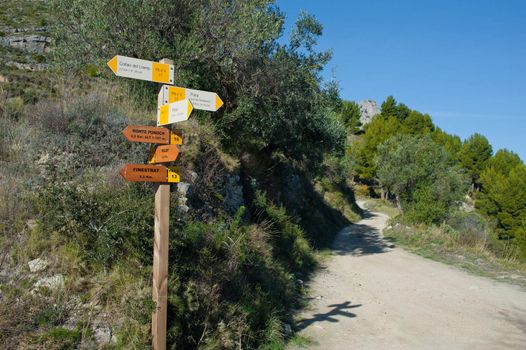 Wooden hiking trail signpost with multiple directions