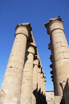 Columns at the main hall, Luxor Temple Egypt