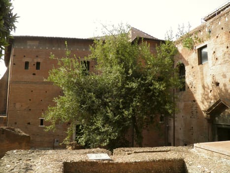 Rome - Trajan's forum and market: a complex of ancient architecture with XV Century additions