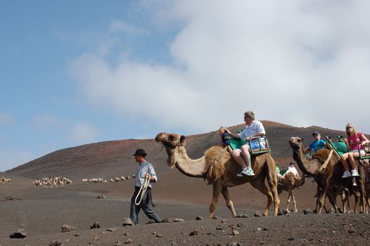 TIMANFAYA NATIONAL PARK, LANZAROTE, SPAIN - JUNE 10: Tourists riding on camels being guided by local people through the famous Timanfaya National Park in June 10, 2009