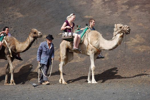 TIMANFAYA NATIONAL PARK, LANZAROTE, SPAIN - JUNE 10: Tourists riding on camels being guided by local people through the famous Timanfaya National Park in June 10, 2009