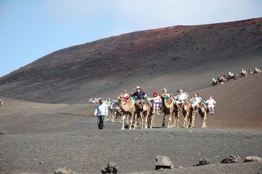 TIMANFAYA NATIONAL PARK, LANZAROTE, SPAIN - JUNE 10: Tourists riding on camels being guided by local people through the famous Timanfaya National Park in June 10, 2009