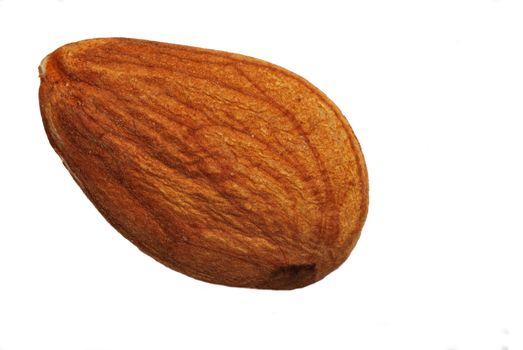 Single almond over white background