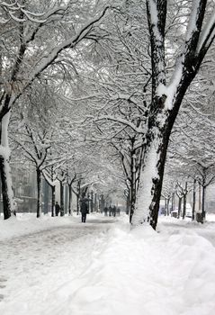 Walkers in Plainpalais place by winter, Geneva, Switzerland