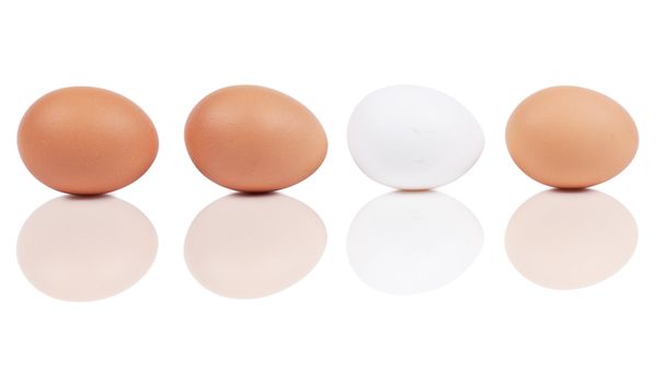 Macro view of four eggs isolated on the white