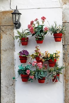 Several flower pots aligned on a wall.