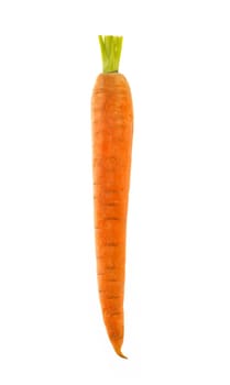 Fresh carrot on white background