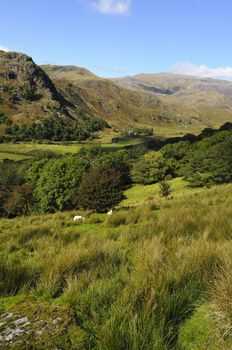 View of Gallt y Wenallt in Snowdonia National Park Gwynedd North Wales
