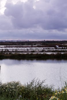 Vertical view of salt evaporation ponds near Olhao city in Portugal.