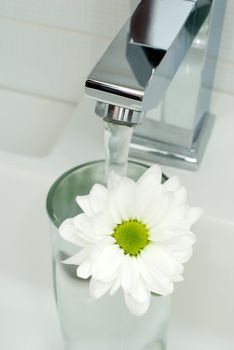Closeup of modern bathroom tap with flower