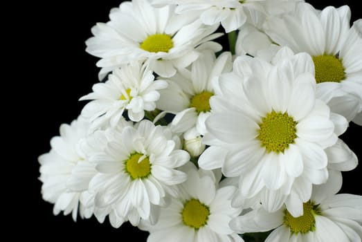 Bouquet of white flowers on a black background
