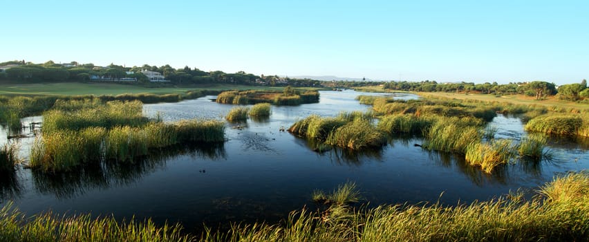 View of the natural marshlands on the Algarve, Portugal.