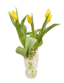 Bouquet of yellow tulips in a crystal vase