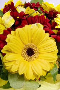 Yellow flower against red flowers