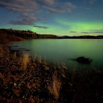 Intense Aurora borealis in moon lit night being mirrored on Lake Laberge, Yukon T., Canada.