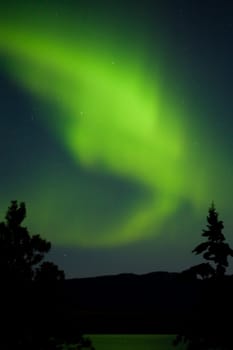 Intense Aurora borealis being mirrored on Lake Laberge, Yukon T., Canada.