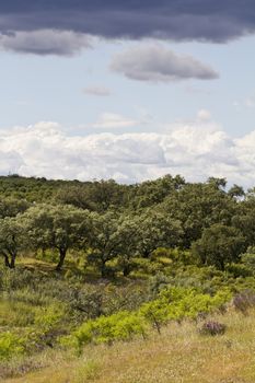 View of a landscape in the interior region of the Algarve, Portugal.