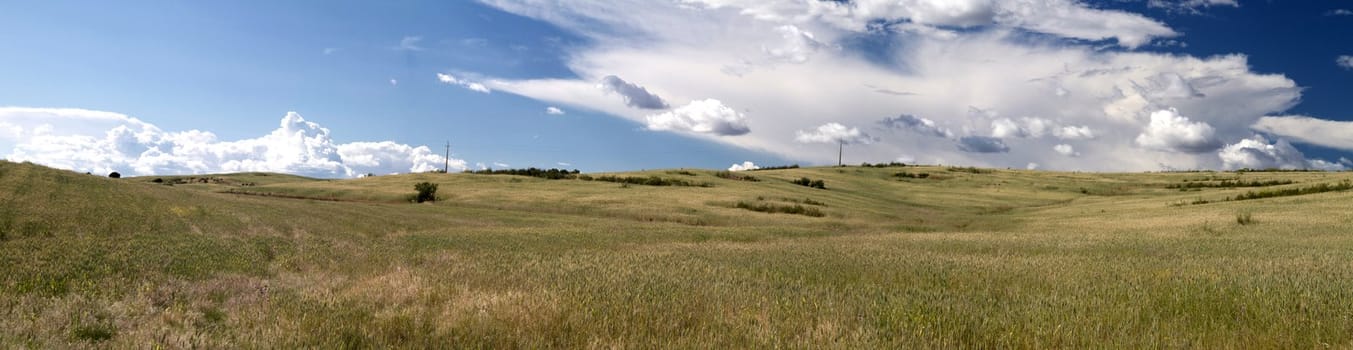 Panoramic view of the typical Alentejo landscape with white clouds and dry grass in Portugal.