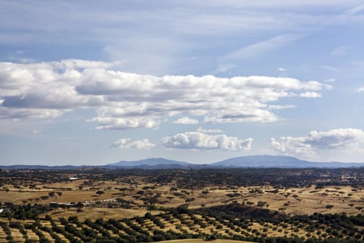 Typical landscape view of the Alentejo region on Portugal.