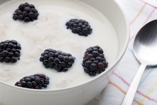 Close up of bowl of oatmeal with milk and blackberries.
