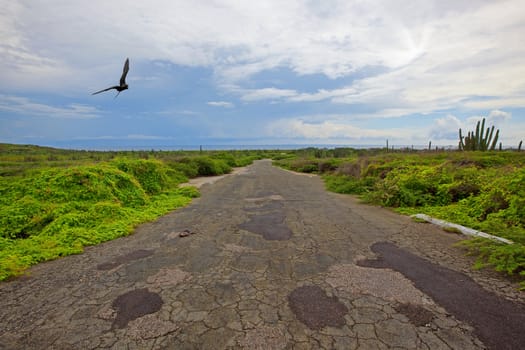 A deserted road on the Caribbean Island, Aruba