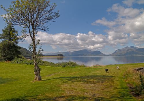The quiet beauty of Scottish scenery on the banks of Loch Linnhe in Argyll and Bute.