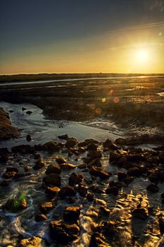 View of the natural marshlands on the Algarve, Portugal.