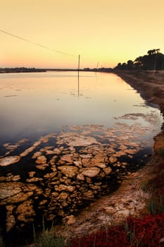 View of the natural marshlands on the Algarve, Portugal.