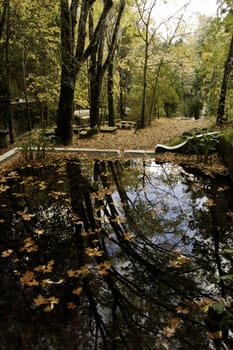 View of some detail of the Caldas de Monchique park on Portugal.