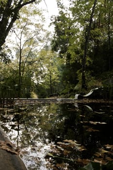 View of some detail of the Caldas de Monchique park on Portugal.