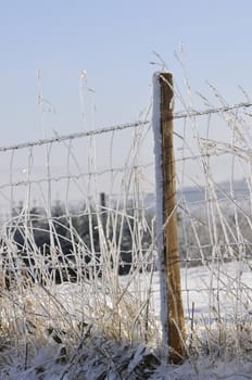 Ice and snow on a barbed wire barrier with a wood picket