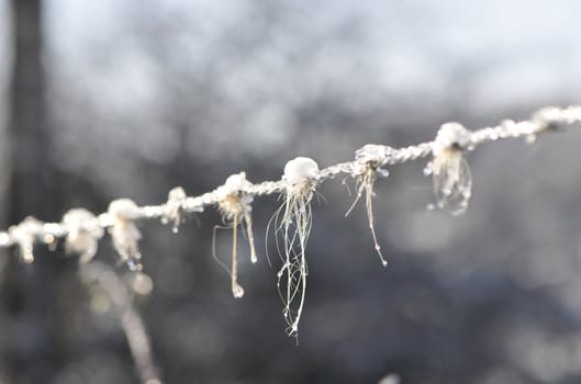 Ice on barbed wire with piece of coat on a blurred background