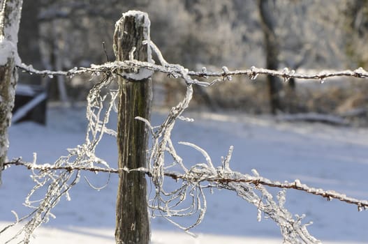 Old barbed wire with lot of ice and snow