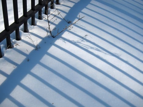 Shadows from a black metal fence extend diagonally across the snow covered ground on a sunny day. Dormant grass and plant life peeks up through the snow layer.