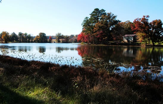 A lake in full bloom during the fall of the year
