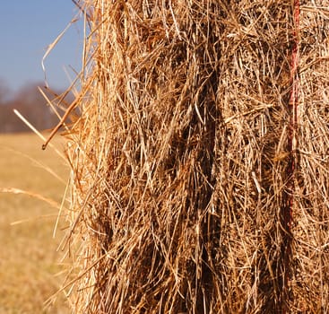 A haybale shown up close after a harvest