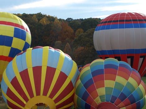 Hot air balloons filling up before their take-off flight