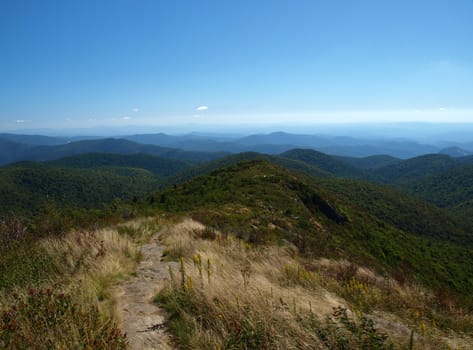 Hiking path in the mountains of North Carolina